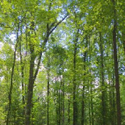 Zachary Horn - Youtube Profile Picture of Zachary Horn (@zjhorn83) on Youtube