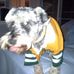 Profile Picture of Daniel Bruce (@daniel.bruce.3323) on Facebook