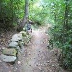 Profile Picture of Scott Pippin (@scott.pippin) on Instagram