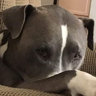 Profile Picture of Richard Bowker (@richard.bowker.71653) on Facebook