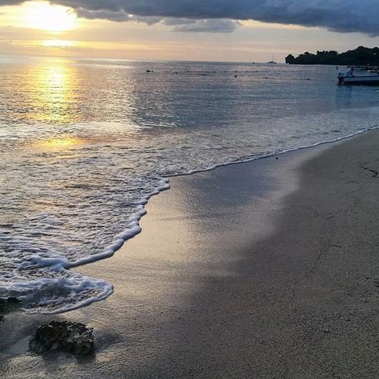 Profile Picture of Paul Flint (@paul.flint0) on Tiktok