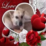 Profile Picture of Jasmine Abbott (@jasmine_abbott_123) on Instagram