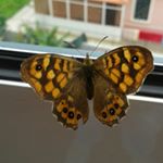 Profile Picture of ana rita (@anaritaquintal) on Instagram