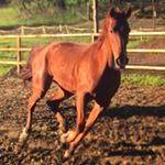 Profile Picture of Scott Fellman (@fellmanscott) on Instagram