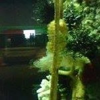 Profile Picture of Donna Chrisman (@donna-chrisman-2) on Quora