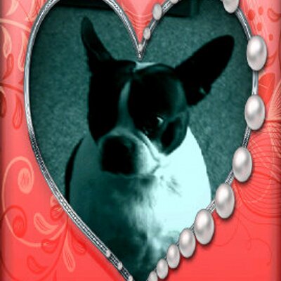 Profile Picture of Bobbie Jo Jenkins (@bobbiejo417) on Twitter