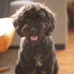 Profile Picture of Iris Johansen Björnsdóttir (@kennel_pil) on Instagram