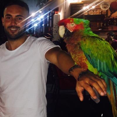 Profile Picture of Tom Mansfield (@tommansfield9) on Twitter