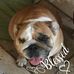 Profile Picture of Mitchell Pena (@mitchell.pena.7547) on Facebook