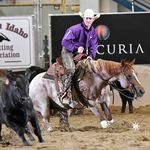 Profile Picture of Jeremy Young Performance Horse (@jeremy.young.73594) on Instagram