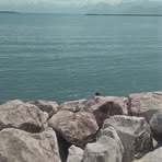 Profile Picture of Louisa Didouche (@Louisa-Didouche) on Facebook