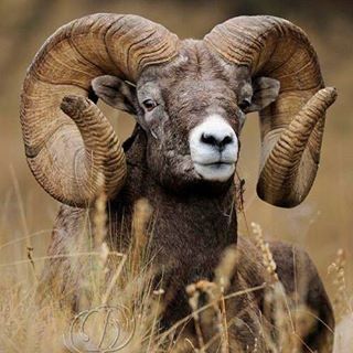 Profile Picture of Apolonio Aleman Cantu (@apolonio.alemancantu) on Facebook