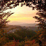 Profile Picture of Darren O Leary (@idontusefacebook) on Instagram