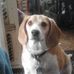 Profile Picture of Keith Barta (@keith.barta.9) on Facebook