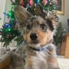 Profile Picture of Michael Ziegler (@ziggy_911) on Tiktok