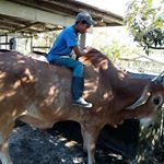 Profile Picture of allanconcepcion (@allanconcepcion03) on Instagram