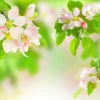 Profile Picture of dwaynegilbert.652 (@dwaynegilbert.652) on Tiktok