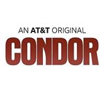 Profile Picture of Condor (@condoratt) on Instagram