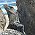 Super Pix From Japan - Flickr Profile Picture of Super Pix From Japan (@super pix from japan) on Flickr