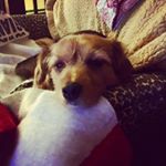 mark loudin - Instagram Profile Picture of mark loudin (@mloudin) on Instagram