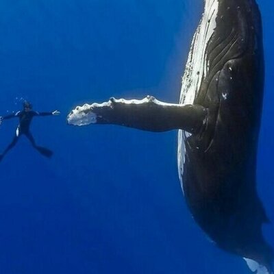 Profile Picture of Richard Muñoz (@RichardMunoz34) on Twitter