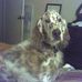 Profile Picture of Eli Rapfogel Ostroff (@eli.r.ostroff) on Facebook