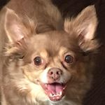 Profile Picture of Lori Whitaker (@lori.whitaker.90) on Instagram