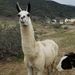Profile Picture of Michelle Stumpp (@bustersbarnsanc) on Pinterest