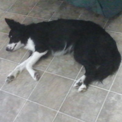 Profile Picture of Jeremiah Judd (@JeremiahJudd3) on Twitter