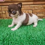 Profile Picture of minerva moreno moreno (@mine.rva56) on Instagram