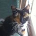 Profile Picture of Richard Tirrell (@richard.tirrell.12) on Facebook