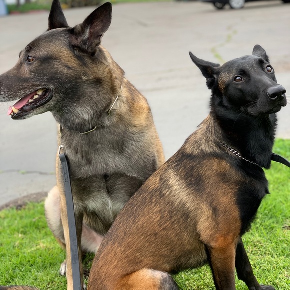 Profile Picture of Staci Dewell (@sda3796) on Poshmark