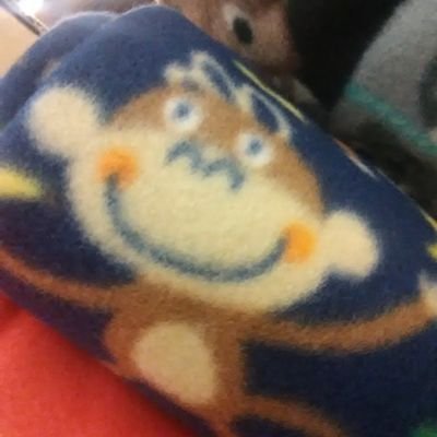 Profile Picture of _det_lie_moam_ (@CaseyXiong5) on Twitter