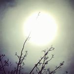 Profile Picture of Carl Bowstead (@carlbowstead) on Instagram