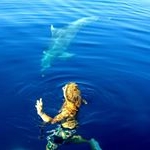 Profile Picture of marko pavlovic (@pavlovicu) on Instagram