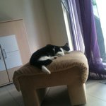 Profile Picture of cindysavioz (@cindysavioz) on Instagram