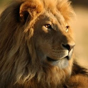 Profile Picture of CharlesFockaert (@charlesfockaert8594) on Youtube