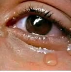 Profile Picture of Nathan Holmes (@nathan.holmes.972449) on Facebook