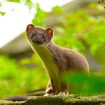 John Martin Batey - Flickr Profile Picture of John Martin Batey (@johnmartinbatey) on Flickr