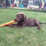 Profile Picture of Nolan Duncan (@nolan_duncan) on Instagram