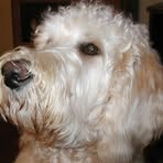 Profile Picture of Kenneth Losneck (@kenneth.losneck) on Facebook