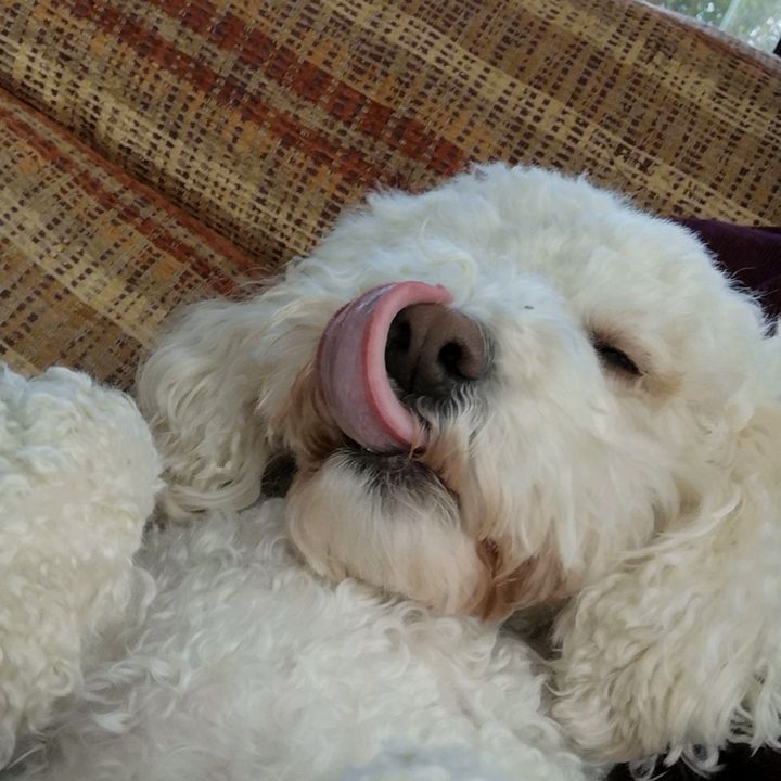 Profile Picture of Patrick Mellett (@patrickmellett) on Tiktok