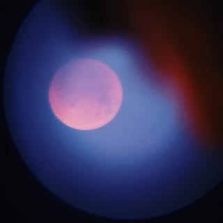 Profile Picture of Jason Zhu (@_jason_zhu_) on Instagram