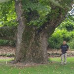 Profile Picture of Steve Alford (@steve.alford22) on Instagram