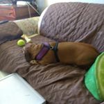 amycunyus - Instagram Profile Picture of amycunyus (@amycunyus.lisa) on Instagram