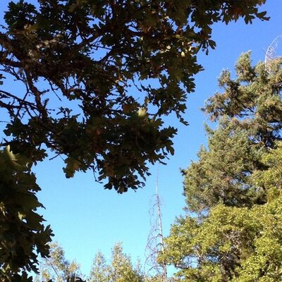 Profile Picture of TracieMello (@TracieMello) on Twitter