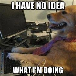 Profile Picture of Doron Anthony (@Anthony_Doron) on Twitter