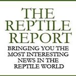 Profile Picture of Robyn Markland (@officialthereptilereport) on Instagram