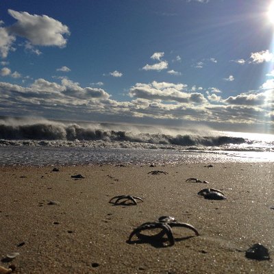 Profile Picture of Nancy VanDerWende (@nrvanderw) on Twitter