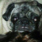 Profile Picture of Danielle Yeater (@danielleyeater) on Instagram